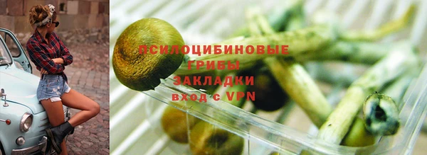 винт Арсеньев