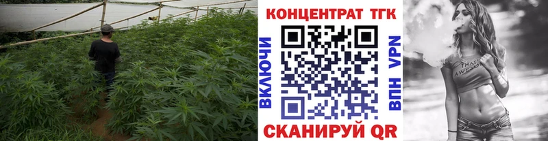 что такое наркотик  Долгопрудный  ТГК жижа 